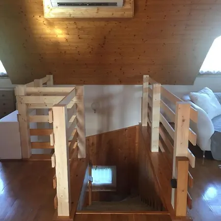 Anita Tatil Evi